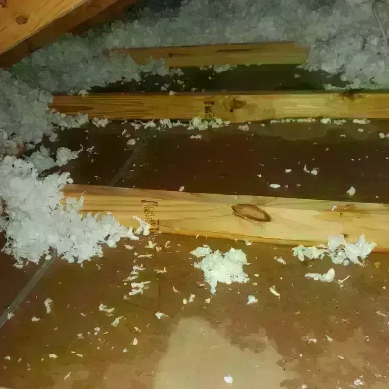 Attic Water Damage in Challenge-Brownsville, CA