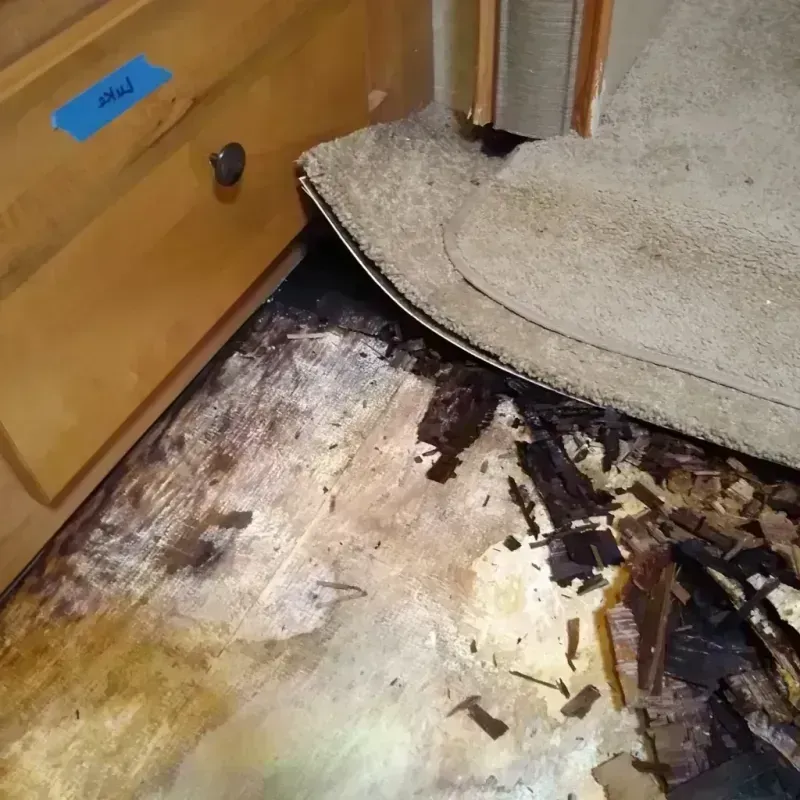 Best Wood Floor Water Damage Service in Challenge-Brownsville, CA